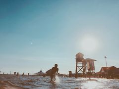 -碧海金沙
