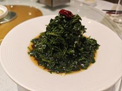 -凯鸽酒楼(操场城店)
