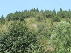 -波罗峪风景区