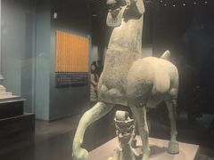 -广西壮族自治区博物馆