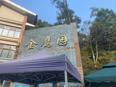 -大金鹰园