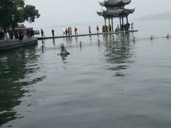 -西湖游船