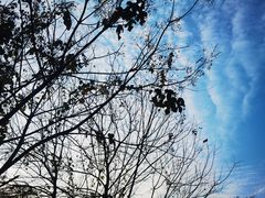 -盘龙城国家考古遗址公园