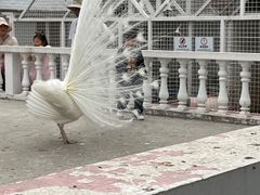 -金庭庄园酒店-停车场