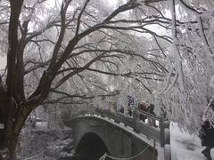 -庐山风景区花径公园