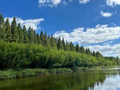 -黄海国家森林公园