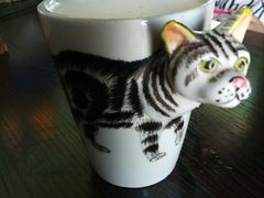 -喵店&猫咖