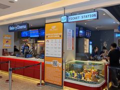 -芽庄中心购物广场