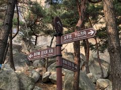 -崂山仰口游览区