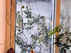 -沏点Trattoria意大利餐厅(新街口店)