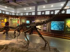 -自贡恐龙博物馆