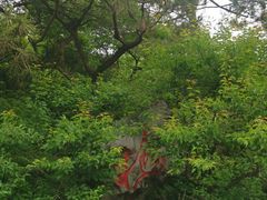 -红烧鱼头·杭帮菜·特色烧烤