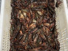 -海岛八号龙虾烧烤田鸡(蓝天路总店)