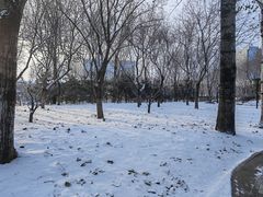 -西海子公园