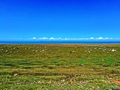 -青海湖国家重点风景名胜区