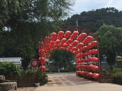 -龙福源密云水库灶台鱼