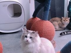 -极木²邸 人与宠物·互动社区