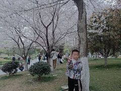 -堤角公园