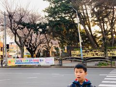 -宝健路步行街(Pedestrian Shopping Street)