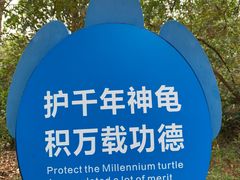 -广东惠东海龟国家级自然保护区