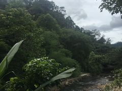-广州市石门国家森林公园