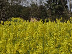 -樱桃山旅游景区