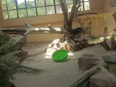 -宁波野生动物园