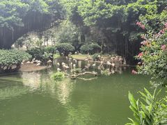 -九龙公园