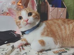 -螺世纪螺蛳粉·桂味小排档(裕德店)