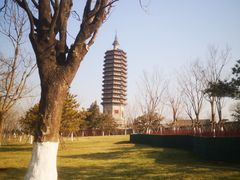 -西海子公园