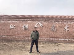 -北京群众马术培训基地
