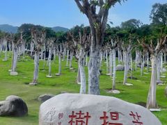 -三亚南山文化旅游区