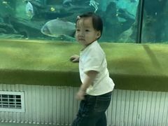 -福州罗源湾海洋世界旅游区