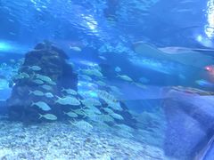 -秦皇岛新澳海底世界