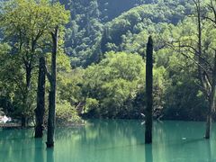-叠溪松坪沟景区