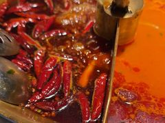 -小龙翻大江文化火锅(宽窄店)