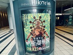 -涩谷区