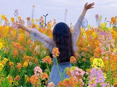 -中国天府农业博览园