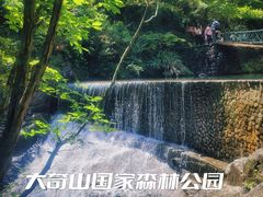 -大奇山国家森林公园