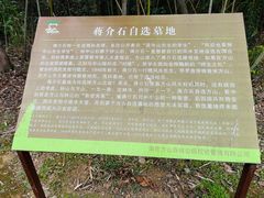 -南京市江宁方山