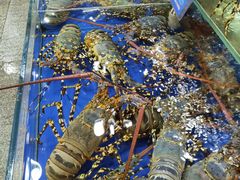 -东江海鲜酒家(艺都分店)