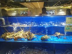 -宁海食府(北岸琴森店)