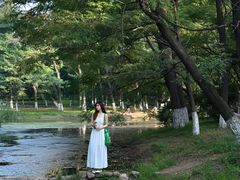 -长白岛森林公园