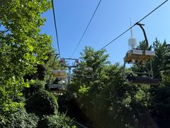-富斯特索道