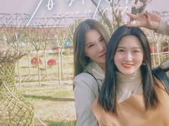 -武汉紫薇都市田园