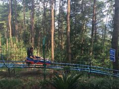 iphone_upload_pic-灵栖洞天