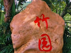-大屏嶂森林公园
