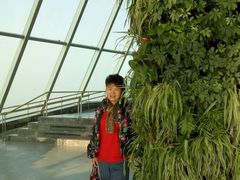 景点-WFC会仙楼观景台