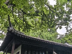 -上海醉白池公园