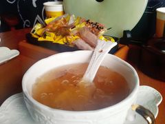 -梵猫·新养生(湛江鼎盛店)